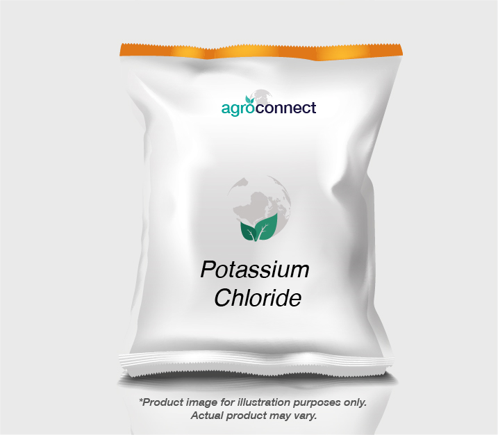 1551687382.POTASSIUM CHLORIDE -08.jpg